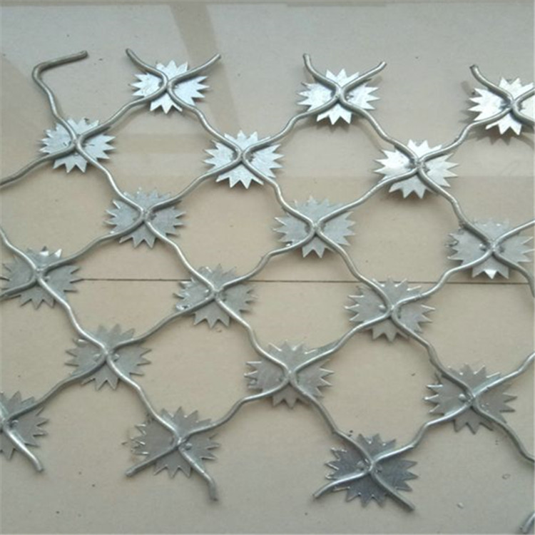 梅花刺監獄防護網案例展示圖片3