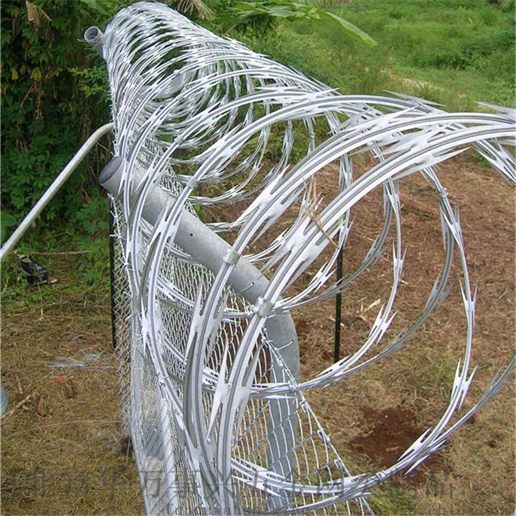 刀刺網(wǎng)案例展示圖片4 刀刺網(wǎng)案例展示圖片4