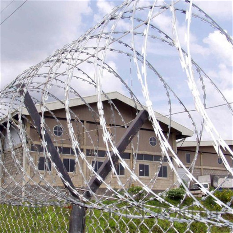 不銹鋼刀刺網(wǎng)案例展示圖片2 不銹鋼刀刺網(wǎng)案例展示圖片2